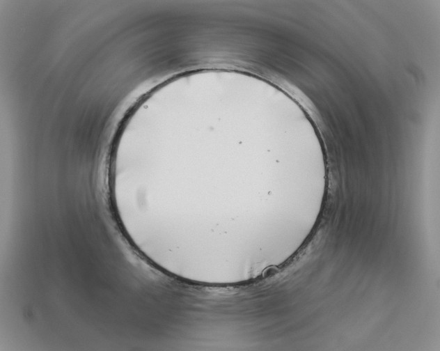 X0000112901144200910021429