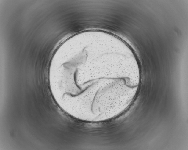 X0000112901145200910021429