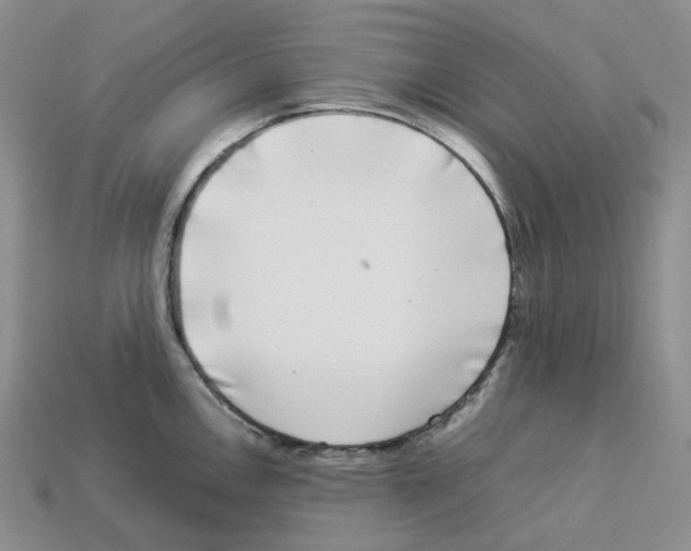 X0000112901146200910021429