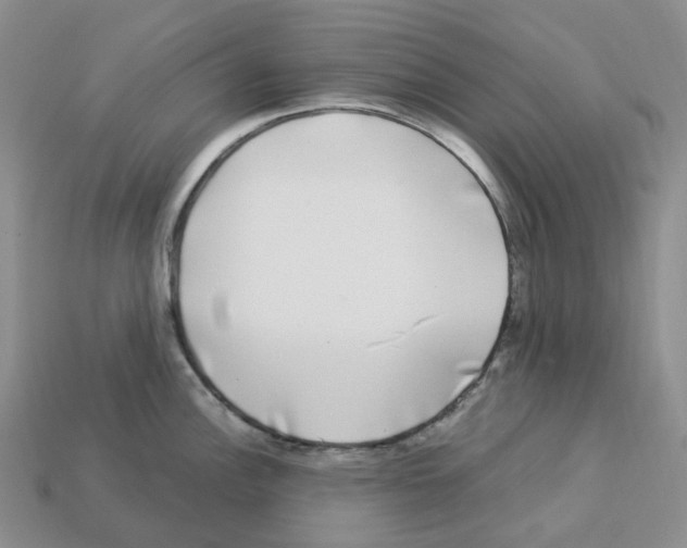 X0000112901148200910021429