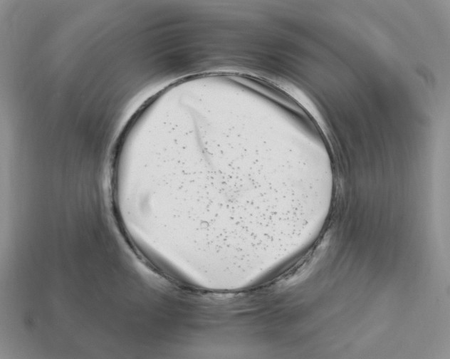 X0000112901149200910021429