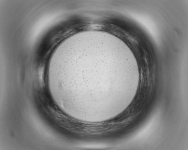 X0000112901150200910021429