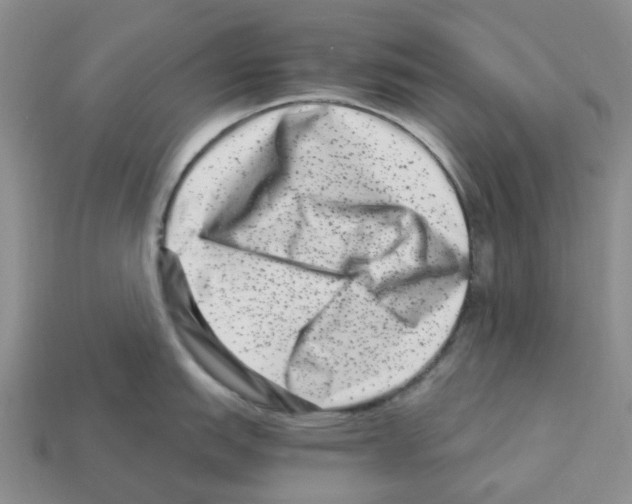 X0000112901151200910021429