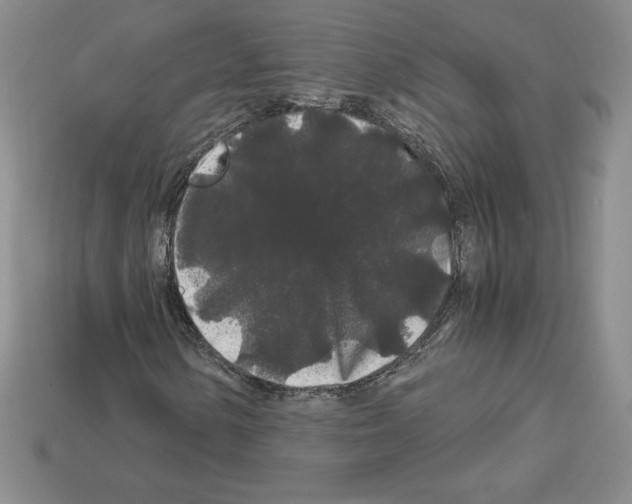 X0000112901154200910021428