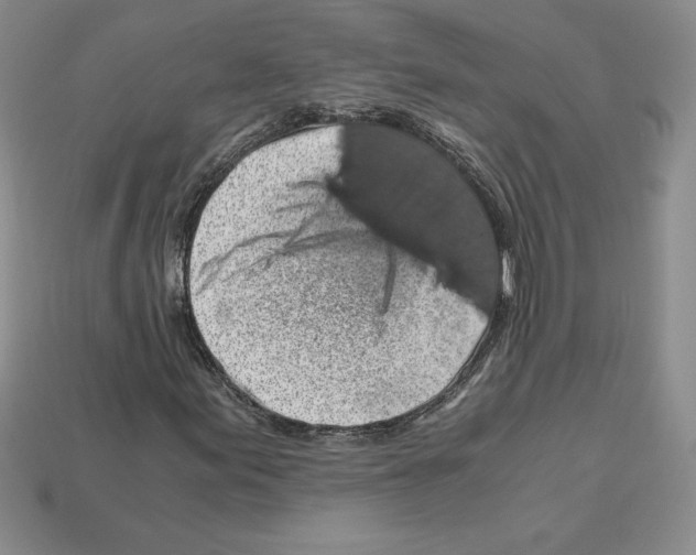 X0000112901155200910021428
