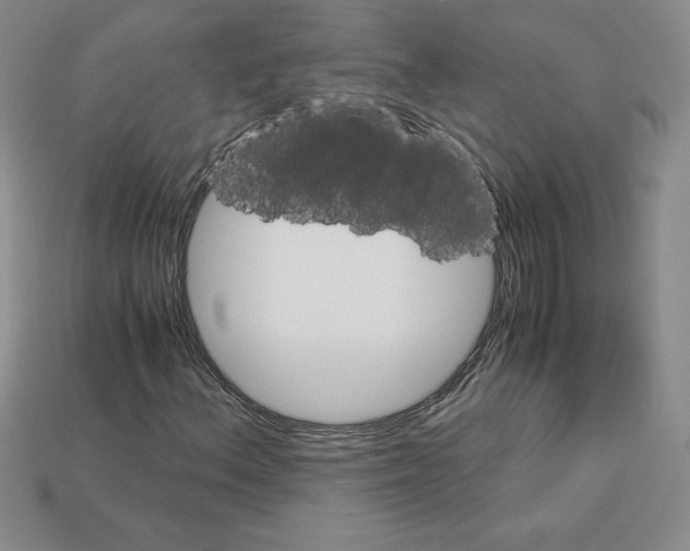 X0000112901156200910021428