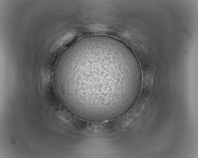 X0000112901157200910021428