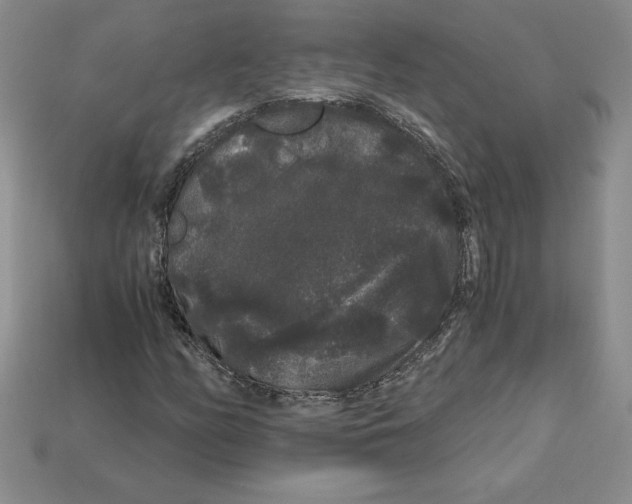 X0000112901158200910021428