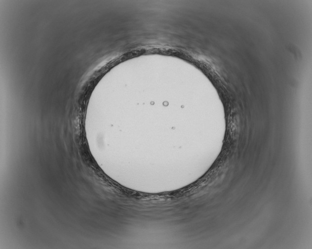 X0000112901159200910021428