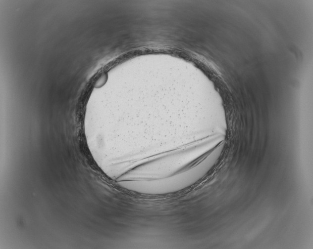 X0000112901160200910021428
