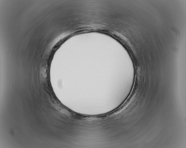 X0000112901163200910021428
