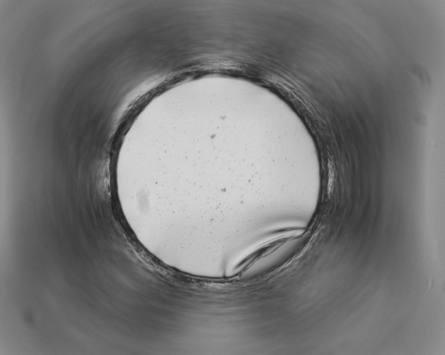 X0000112901164200910021428