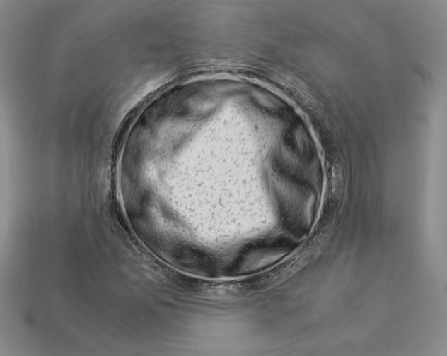 X0000112901165200910021428