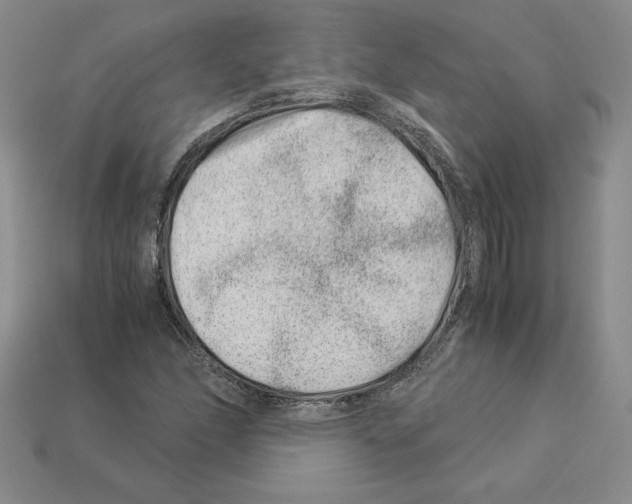 X0000112901166200910021428
