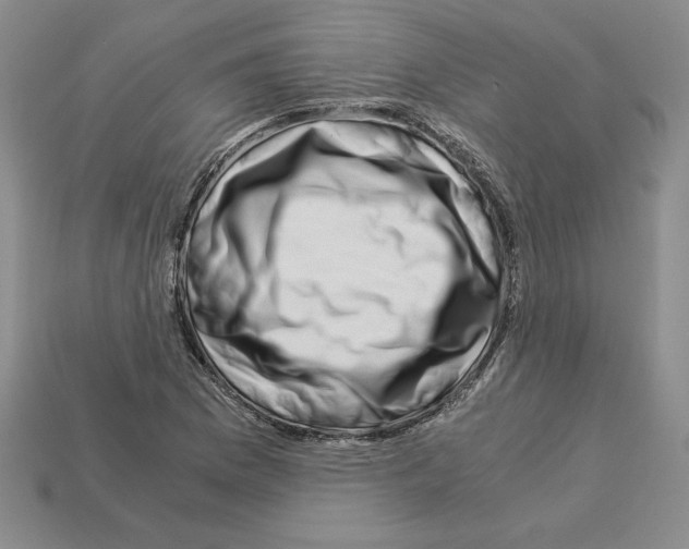 X0000112901169200910021428