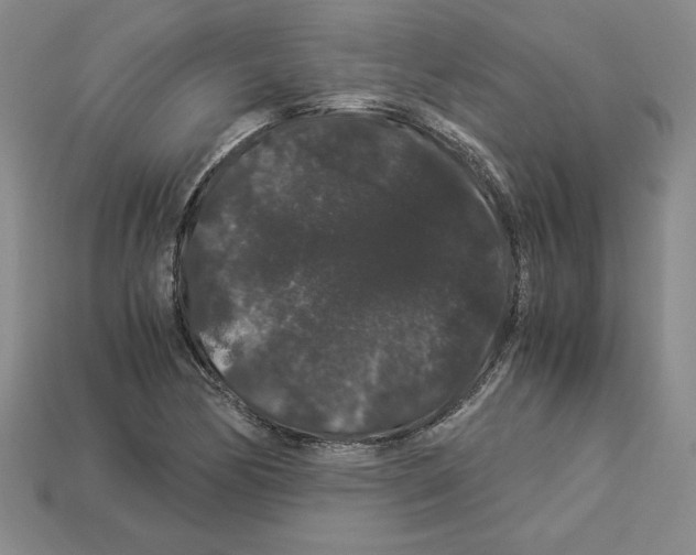X0000112901170200910021428