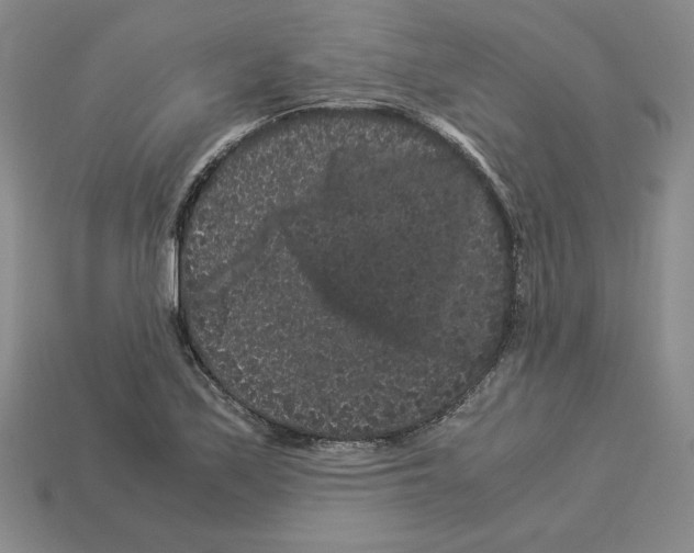 X0000112901171200910021428