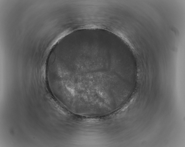 X0000112901173200910021428