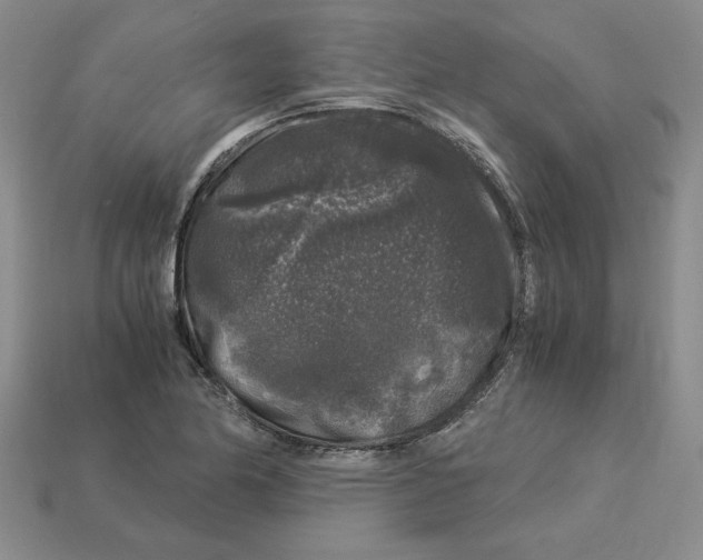 X0000112901174200910021428