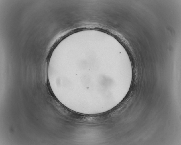 X0000112901175200910021428