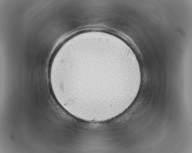 X0000112901176200910021428