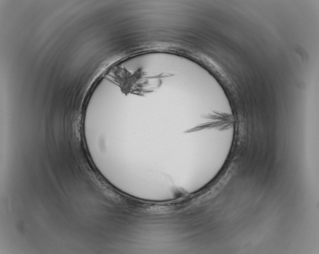X0000112901178200910021428