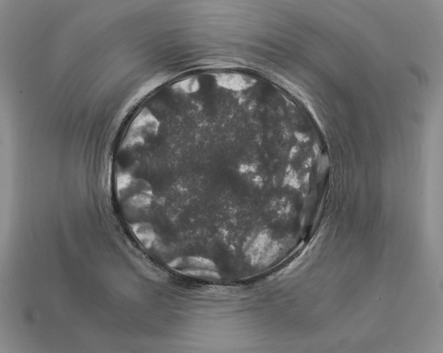 X0000112901179200910021428