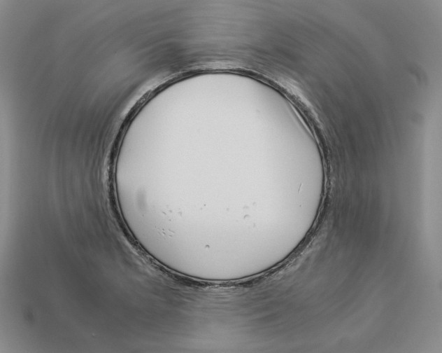 X0000112901181200910021428