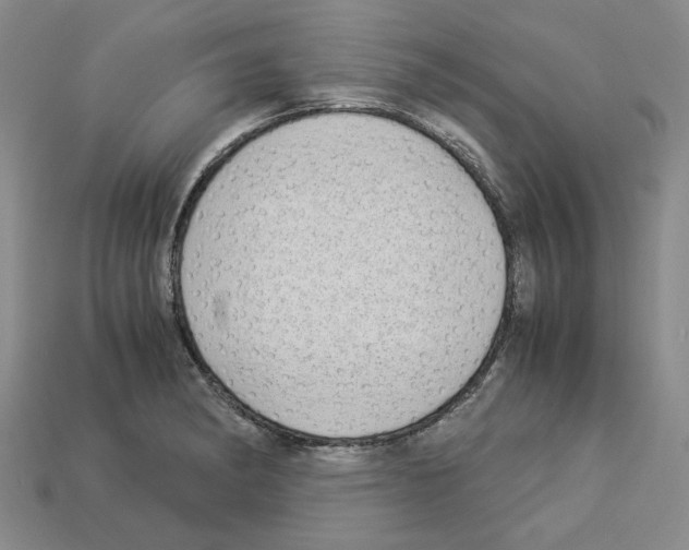 X0000112901182200910021428