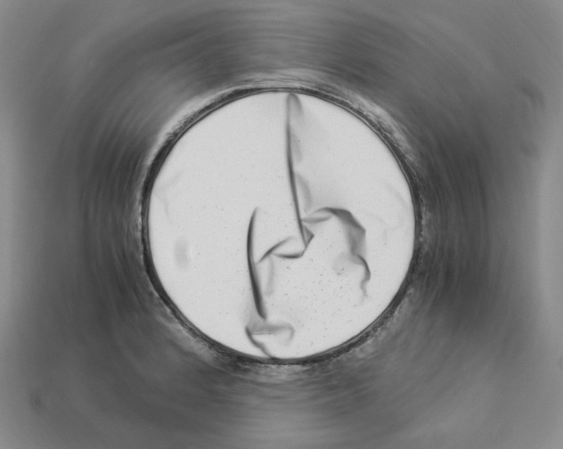 X0000112901184200910021428