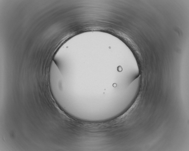 X0000112901185200910021428