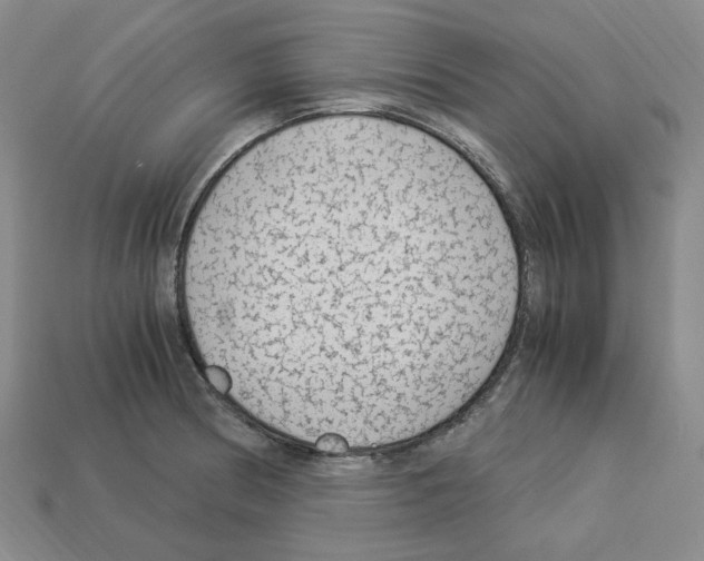 X0000112901186200910021428