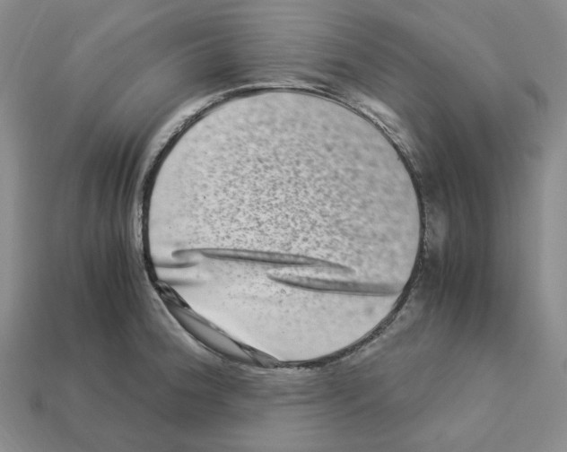 X0000112901188200910021428
