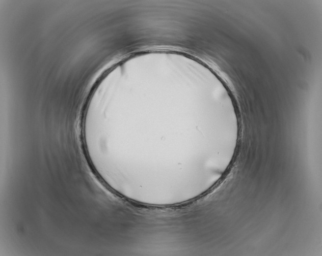 X0000112901189200910021428