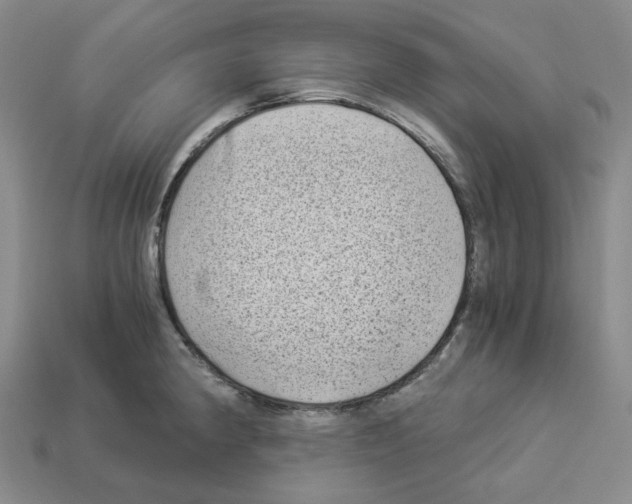 X0000112901190200910021428