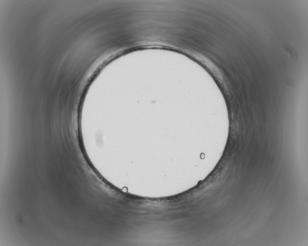X0000112901191200910021428