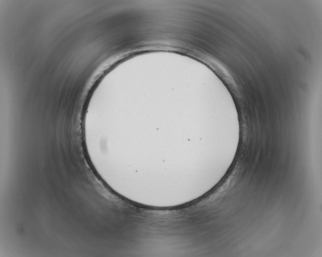 X0000112901192200910021428