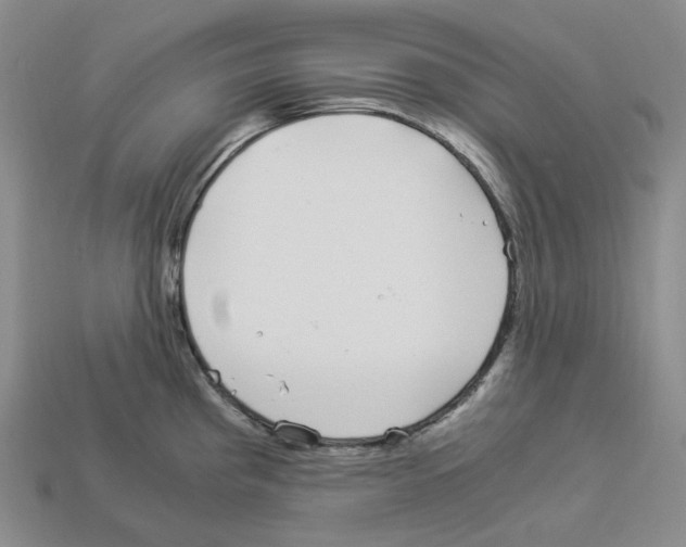 X0000112901193200910021428