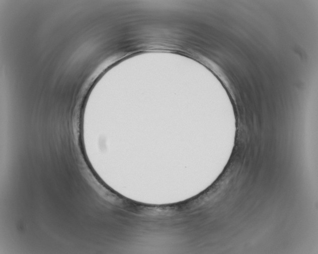 X0000112901195200910021428