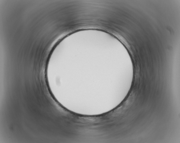 X0000112901197200910021428