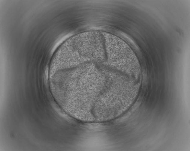 X0000112901198200910021428