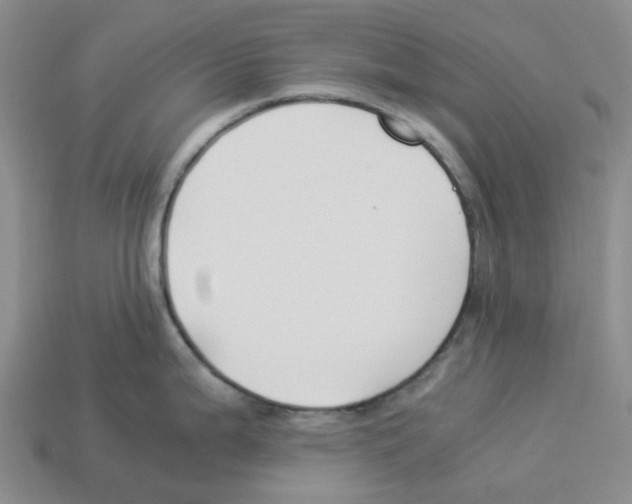 X0000112901199200910021428