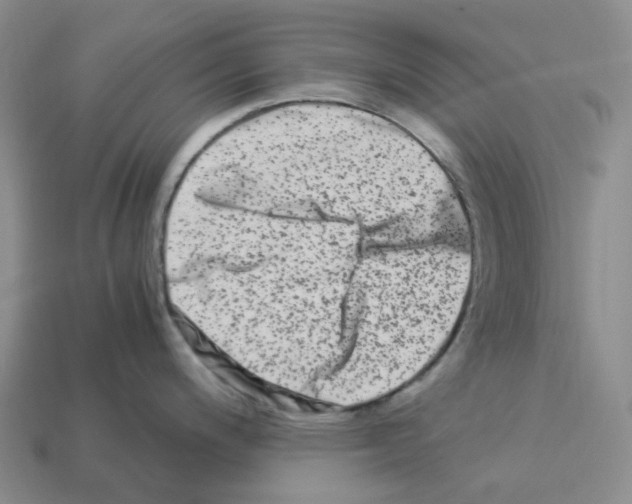 X0000112901200200910021428