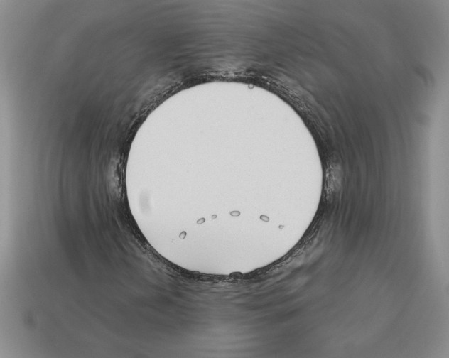 X0000112901202200910021427
