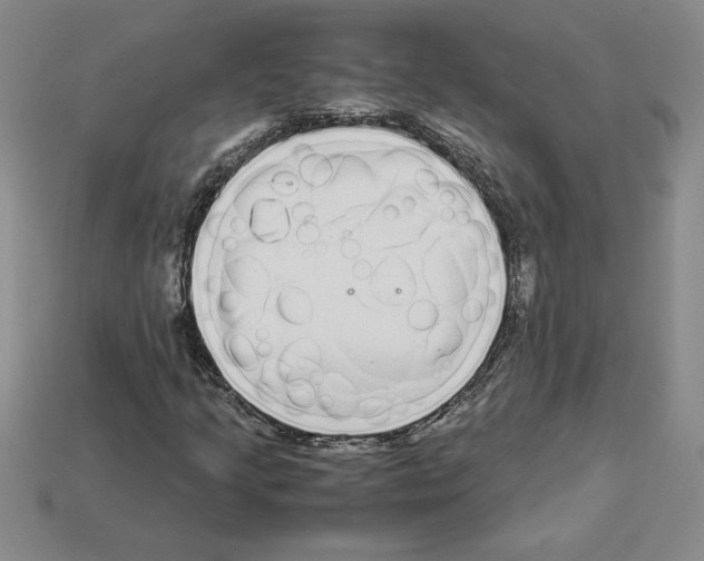 X0000112901205200910021427