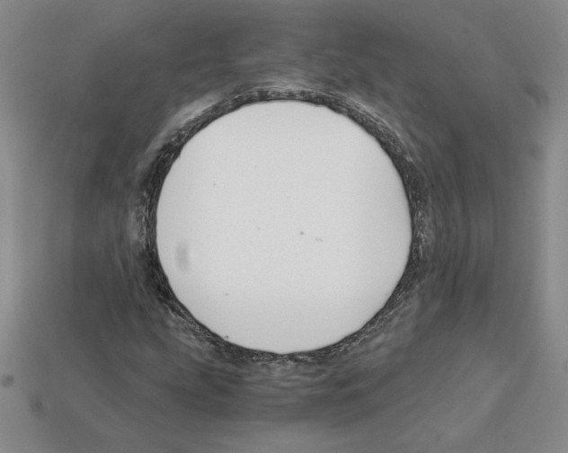 X0000112901207200910021427