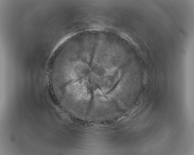 X0000112901208200910021427