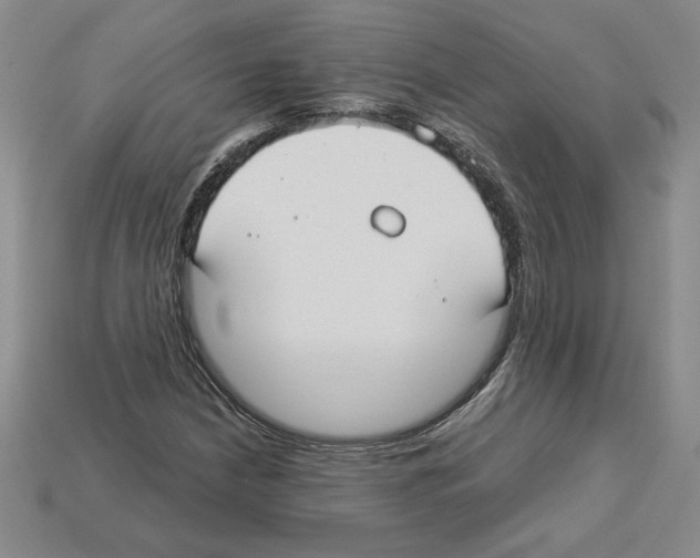 X0000112901210200910021427