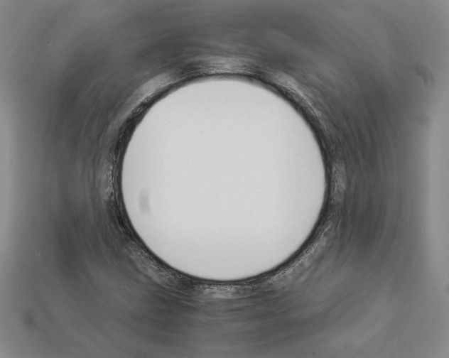 X0000112901211200910021427
