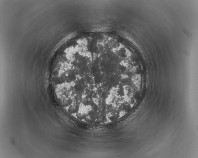 X0000112901213200910021427